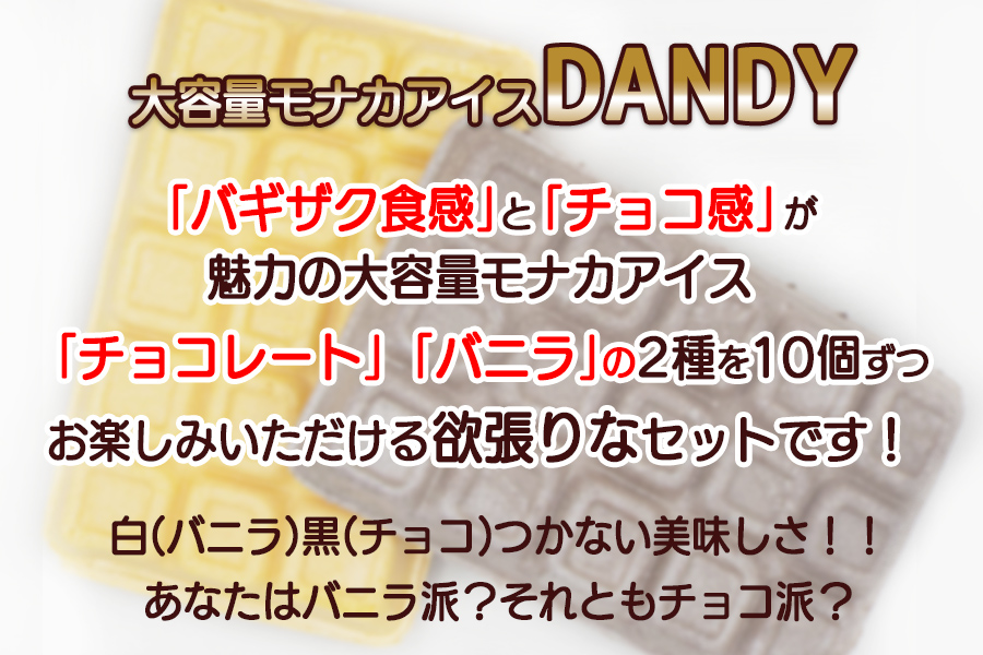 フタバ食品　アイス20個　ダンディーチョコレート＆バニラセット　2種類各10個