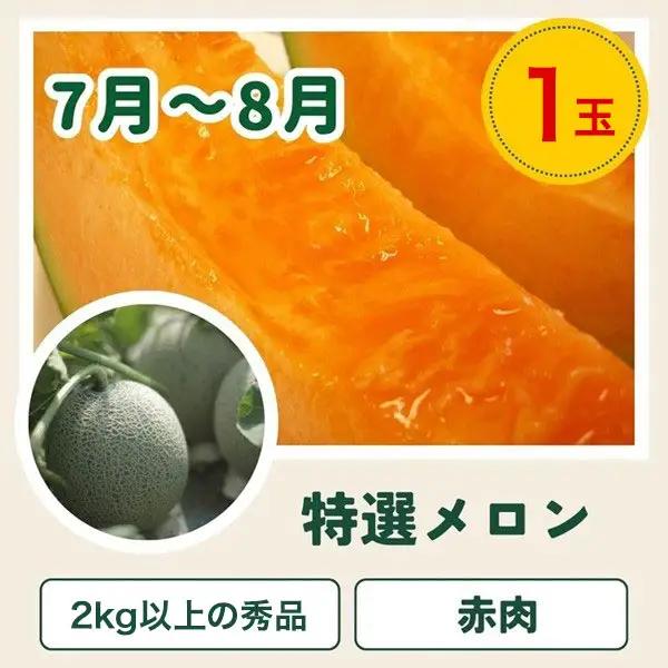 旬の野菜定期便 3回 【令和9年産予約受付】 美瑛の四季 百合（小） 野菜