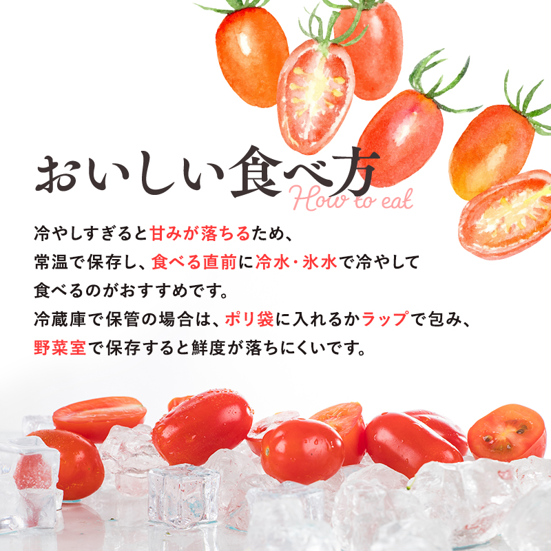 ≪7月以降順次発送≫ 高糖度 ミニトマト [アイコ] 約1kg トマト とまと プチトマト 高品質 野菜 やさい 減農薬 お取り寄せ 青森県 平川市 平川 【hi-0016-003】