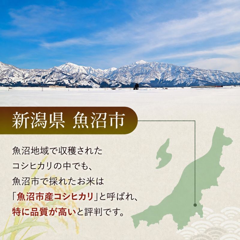 雪室貯蔵 魚沼産 コシヒカリ 無洗米 2.5kg 3ヶ月 連続お届け 