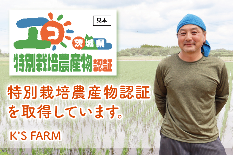 令和7年産 特別栽培農産物認証 コシヒカリ玄米５kg 特栽米 ネオニコフリー 減農薬 減化学肥料 安心 安全 こしひかり 白米 弁当 おにぎり オニギリ 有機肥料 特別栽培米 エコ農産物 茨城県産米(86-04)