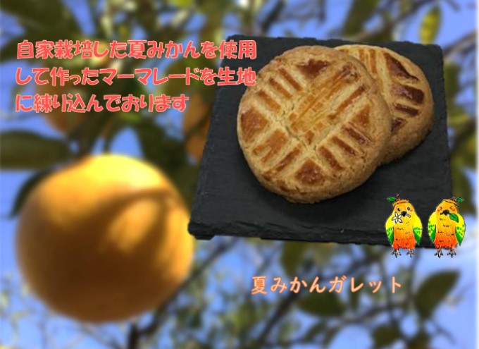 玄米粉シフォンケーキと夏みかんガレットのセット　【グルテンフリー】