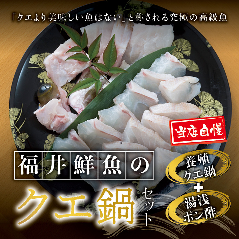 
            【先行予約】幻のクエ！和歌山県産 鍋＆湯浅ゆずポン酢セット くえ 鍋 セット【fki102】
          