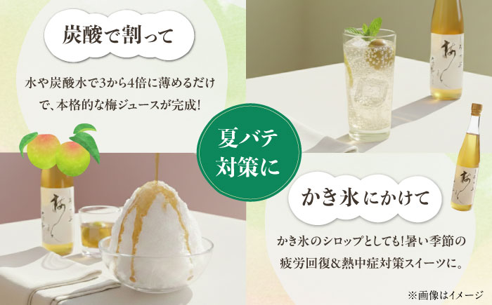 梅シロップ 七折小梅の梅シロップ 500ml×2本 / 梅シロップ 七折小梅 無添加 梅ジュース 国産 / 愛媛県砥部町/農事組合法人ななおれ梅組合 [BJAG001]