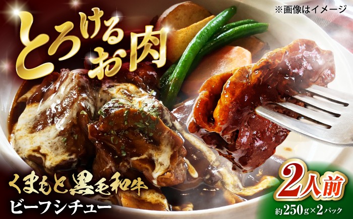 
                  熊本県産 くまもと黒毛和牛 こだわりのビーフシチュー 計2パック （約250g×2パック） ビーフシチュー ビーフ シチュー 牛肉 肉 【有限会社スイートサプライなかぞの】 1万円以下 10000円以下 [ZBV107]
                