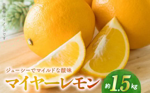 54-17　福島オレンジ農園　マイヤーレモン　1.5kg