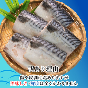 訳あり 厚切 熟成 塩サバ 切身 約3.5kg 【 鯖 】 カネジョウ大崎