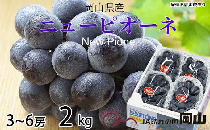 ぶどう 2026年 先行予約 ニュー ピオーネ 3房～6房 約2kg ブドウ 葡萄  岡山県産 国産 フルーツ 果物 ギフト 果物類 