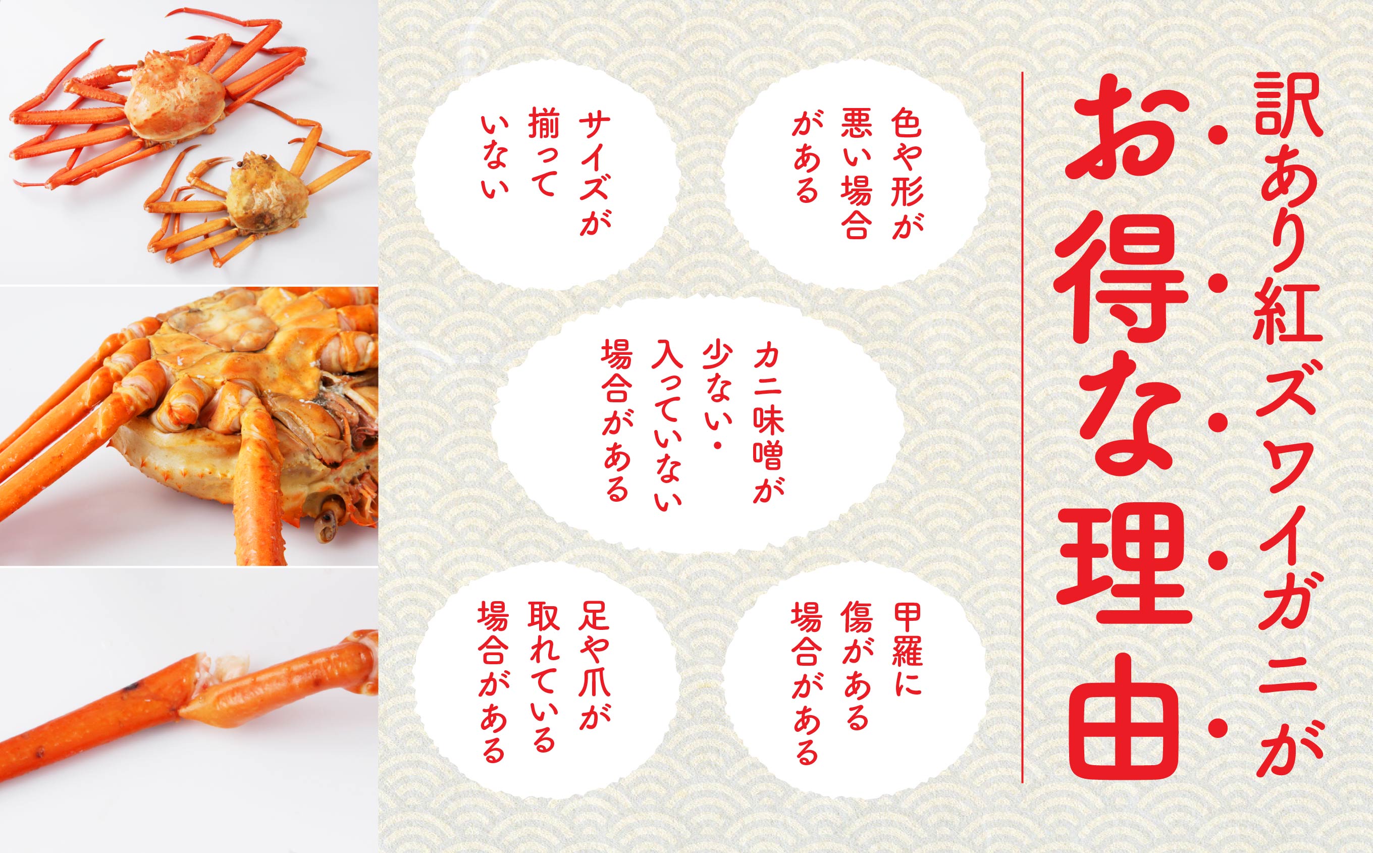 【訳あり】日本海沖産　紅ズワイガニ3kg 冷蔵