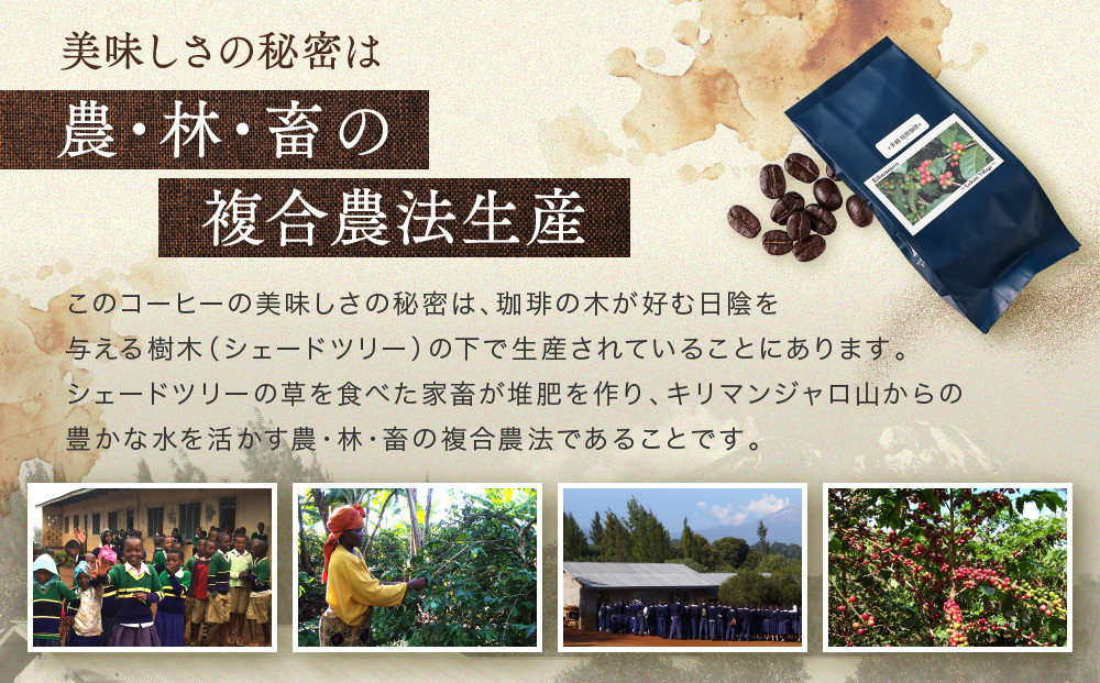 【手網焙煎】久々野ふるさとの香り キリマンジャロ ルカニ村 100g | 焙煎 珈琲 コーヒー ルカニ村 キリマンジャロ あそびば.coffee 栄徳屋 LC012