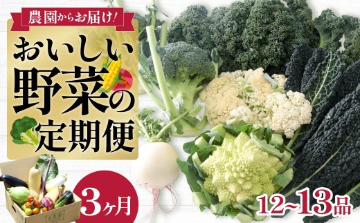 野菜ソムリエが送る 旬野菜セット 12～13品 3回 定期便 西洋野菜 一般野菜 | 減農薬 野菜ソムリエ 旬野菜 イタリア野菜 珍しい 食べ比べ 生野菜 サラダ 野菜セット 詰め合わせ ギフト 贈り物 国産 朝採れ 新鮮野菜 季節の野菜 産直 食品ギフト 手土産 良農園 群馬県 前橋市