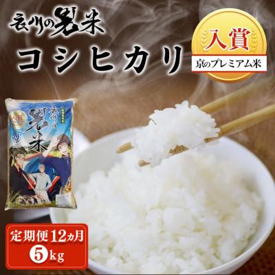 ふるさと納税 福知山市 【毎月定期便】衣川の男米コシヒカリ 白米 5kg【京都府福知山市】全12回