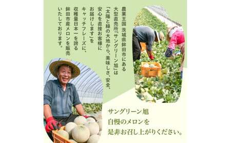 メロン めろん ＼光センサーで計測 糖度16度以上！／クインシー 【輝】2玉  茨城 鉾田 サングリーン旭 フルーツ 旬 プレゼント 人気 おすすめ 贈り物 甘い ヘルシースイーツ 産地直送 農業王国