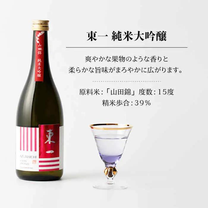 日本酒 東一 日本酒飲み比べ2種 NBQ001 