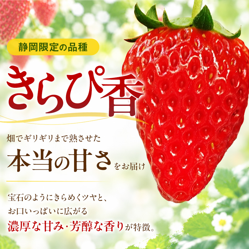 ★発送月が選択できる★ 『きらぴ香 × 2パック』 裾野市産