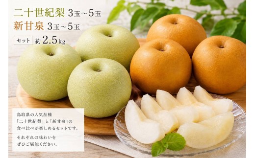 
                  【食べ比べセット】鳥取県産 二十世紀梨 新甘泉 約2.5キロ【鳥取県 境港市】
                