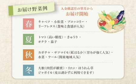 野菜 定期便 4回 オーガニック 野菜 やさい セット
