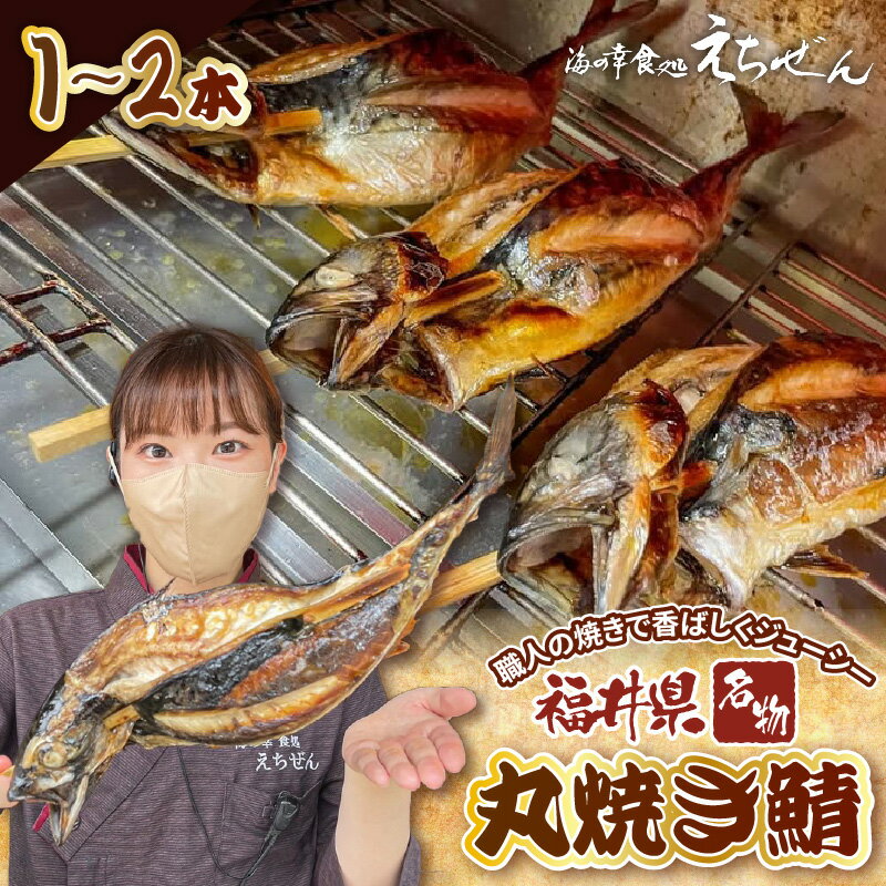 【ふるさと納税】【先行予約】【福井県名物】丸焼き鯖 【選べる内容量：1本 / 2本】 (1尾あたり生の状態で600g以上) 職人の焼きで香ばしくジューシー 【2026年5月下旬頃より順次発送】【さば 焼き魚 焼き サバ 丸焼き 惣菜 半夏生 はんげしょう 酒の肴 郷土料理】