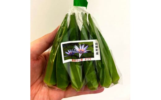 オクラ 20袋 約1.4kg 約1.4キロ おくら 国産 オクラ 新鮮野菜 美味しい 野菜 厳選 新鮮 おかず 常温 配送 副菜 惣菜 煮物 朝どれ 詰め合わせ 取り寄せ グルメ お取り寄せグルメ お
