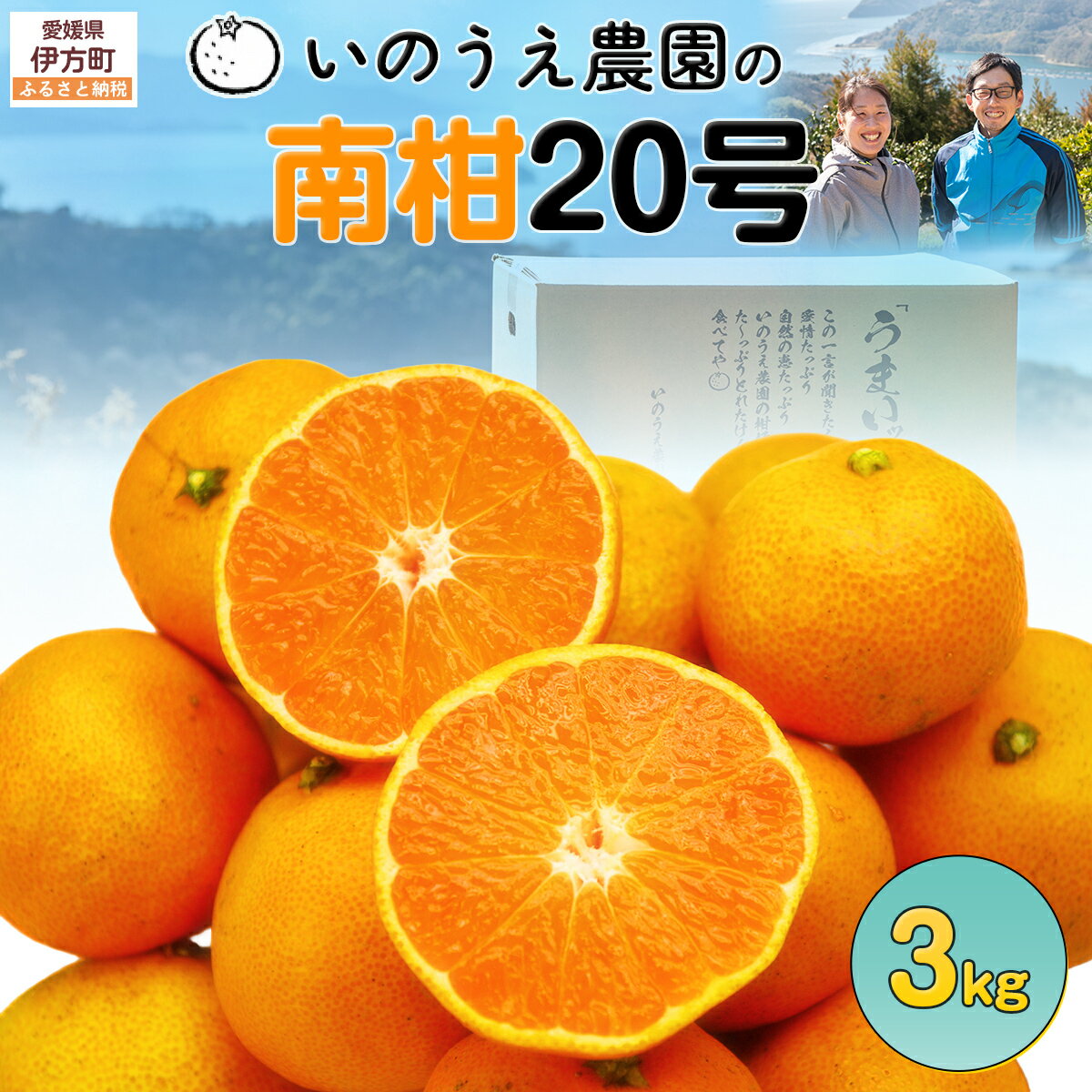 【ふるさと納税】【先行予約】いのうえ農園の南柑20号 3kg ※離島への配送不可（2026年12月上旬より順次発送） IKTAI005