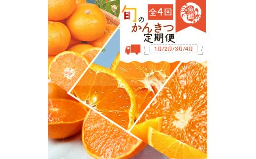 
                  【定期便】【4か月】 定期便 旬の柑橘定期便 / みかん ミカン 柑橘 清美オレンジ せとか 不知火 デコポン 温州みかん オレンジ 果物 くだもの フルーツ フルーツ定期便 和歌山【tkb416】
                