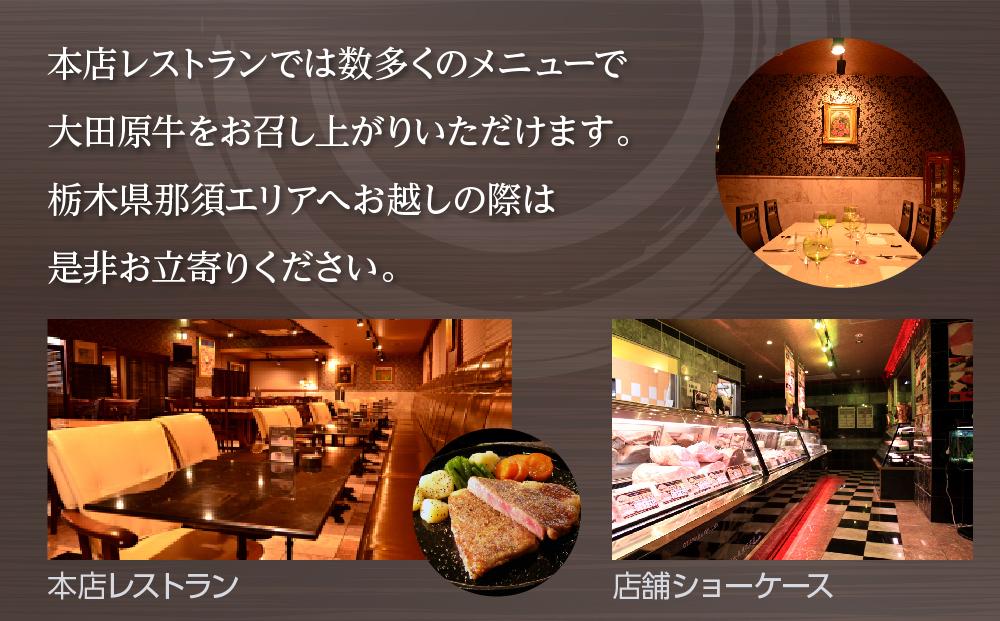 【2名様分】大田原牛 ハンバーグ・カレー・シチューの詰め合わせセット | ブランド牛 和牛 牛肉  高級 ハンバーグ カレーライス ビーフシチュー