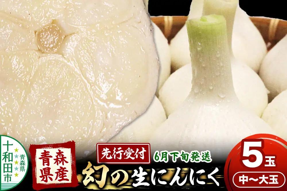 先行受付 青森県産にんにく 幻の生にんにく 5玉（中～大玉）【6月下旬発送】