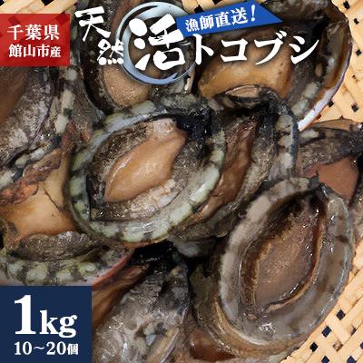 ふるさと納税 館山市 【先行予約】【金曜日発送】漁師直送!天然活トコブシ1kg(10〜20個)