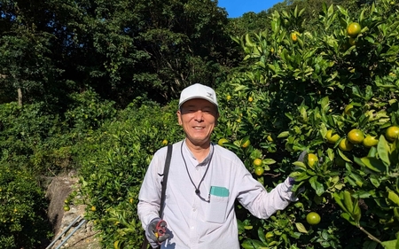 【先行予約】ゆら早生みかん 秀品 Lサイズ 5kg 贈答用 ※2025年10月頃に順次発送予定 / ゆら早生 柑橘 極早生 フルーツ 果物 くだもの 食品 人気 おすすめ 送料無料 由良町 【ksmt