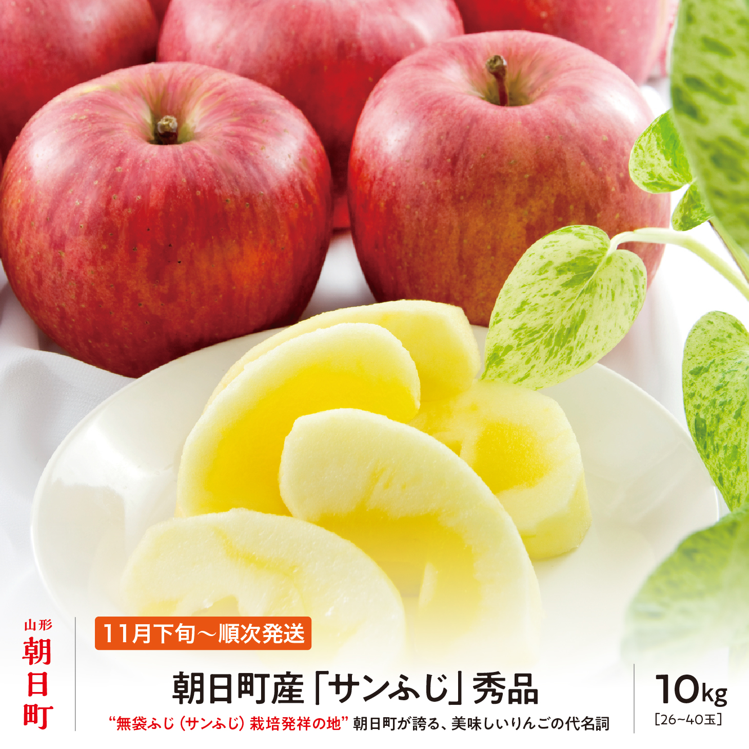 ＜ 先行予約 ＞ サンふじ りんご 秀品 約 10kg 26～40玉 【2026年11月下旬から12月下旬発送】 山形県 朝日町産 山形県産 果物 フルーツ リンゴ 林檎 秋 冬