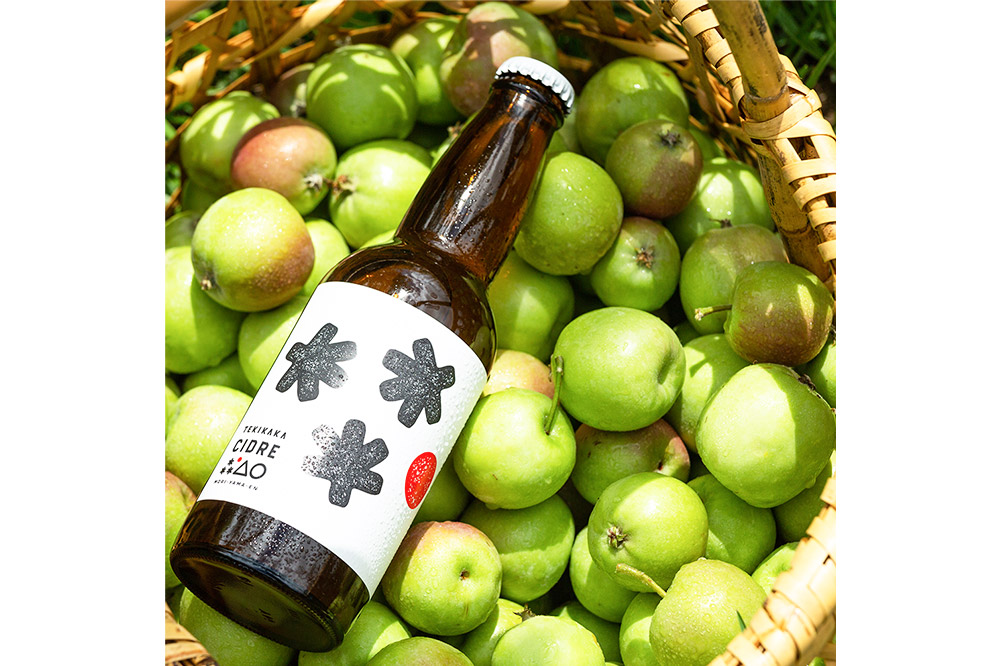 未来を育てるりんごのお酒 テキカカシードル 330ml×6本 お酒 青森 弘前 林檎 リンゴ