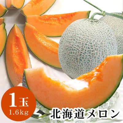 【先行受付】令和7年7月中旬以降　北海道産赤肉メロン完熟糖度16度　1玉　約1.6kg_04752【1568879】