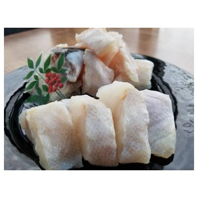 ふるさと納税 白浜町 本クエ鍋用
