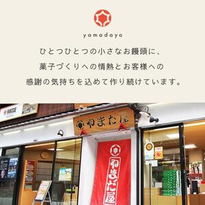 【やまだ屋】もみじ饅頭15個入｜まんじゅう 和菓子 贈答 広島