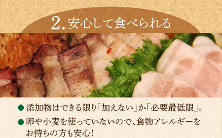 ソーセージ 【49本×12回定期便】生ソーセージ詰め合せ7本入り×7袋 ※無塩せき（亜硝酸ナトリウム不使用）[EAM046]  国産ソーセージ ソーセージウインナー 冷凍 詰合せ 定期便