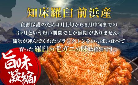 2025年産　ボイル冷凍毛ガニ　１kg　300g～500g　2～3尾