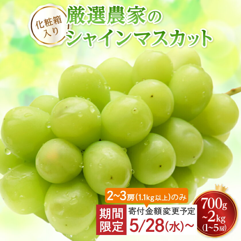 大人気 山梨のシャインマスカット 2～3房 1.1kg以上