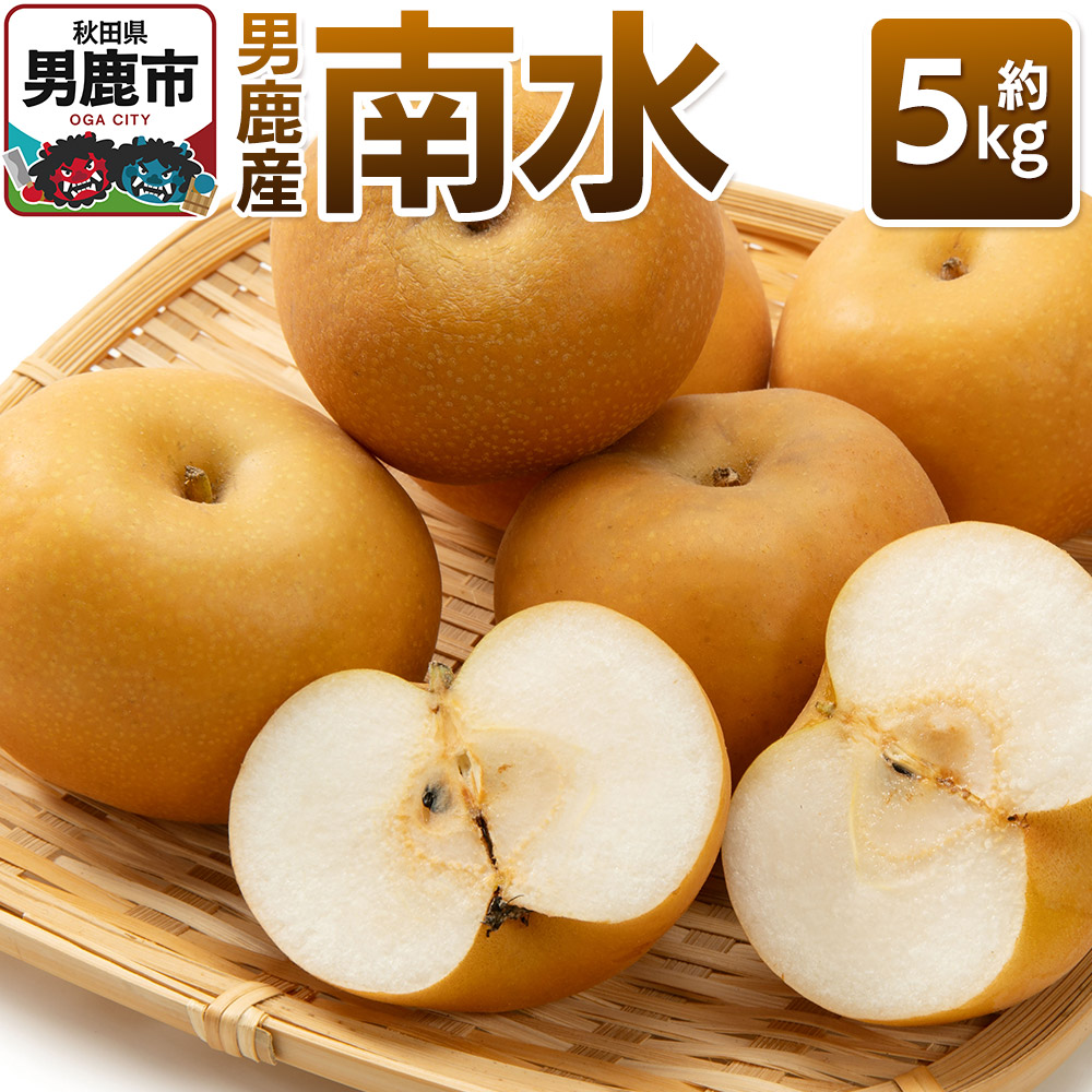 【令和8年度 早期受付】 南水 約5kg 10月中旬～11月中旬発送 梨 旬の果物 ギフト 秋田県 男鹿市 男鹿ファーム直売所