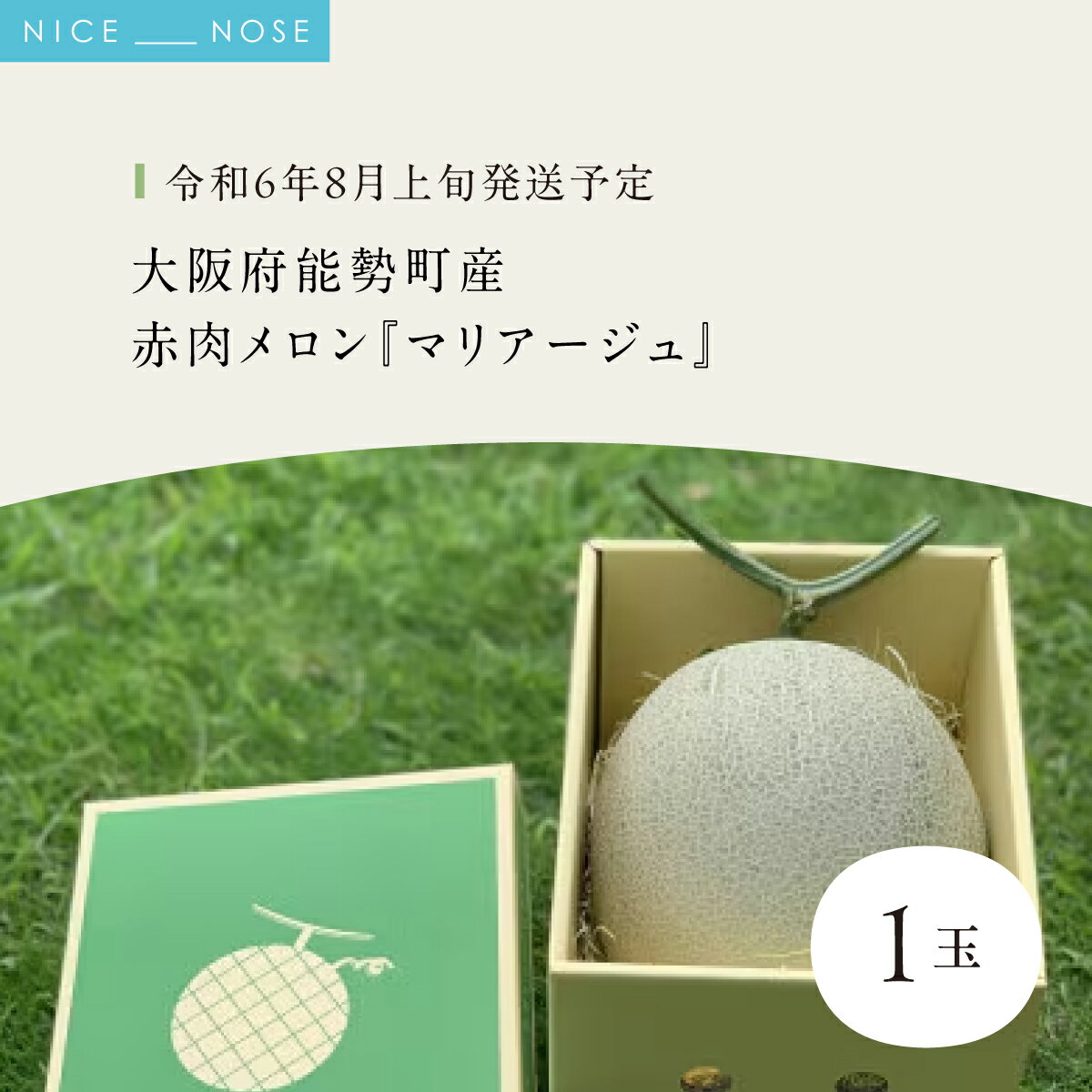 【ふるさと納税】《令和8年8月上旬発送予定》 大阪府能勢町産 赤肉メロン 『マリアージュ』 1玉 (1.5kg-1.8kg) | 西河農園 | 国産 フルーツ 果物 デザート 甘い | 8月発送 夏季限定 | ギフト 贈り物 | 大阪府 能勢町 送料無料