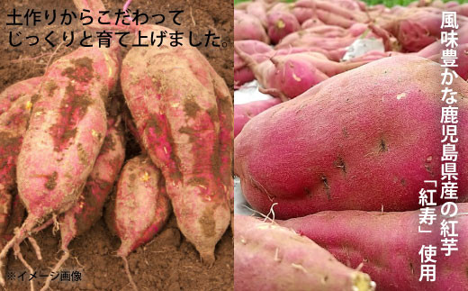 AS-023 【鹿児島限定・数量限定】【2026年4月より順次発送】芋焼酎 流川 1800ml 25度 田苑酒造