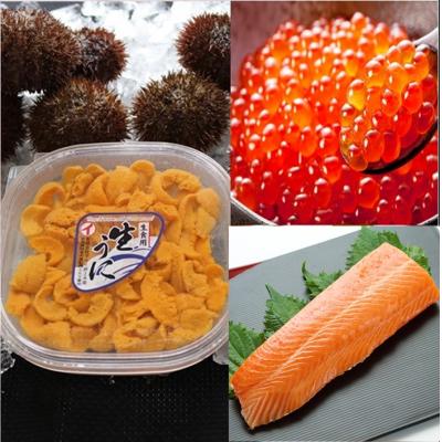 ふるさと納税 根室市 エゾバフンウニ塩水パック150g、いくら(鱒卵)、サーモン[11月下旬以降発送] E-71043