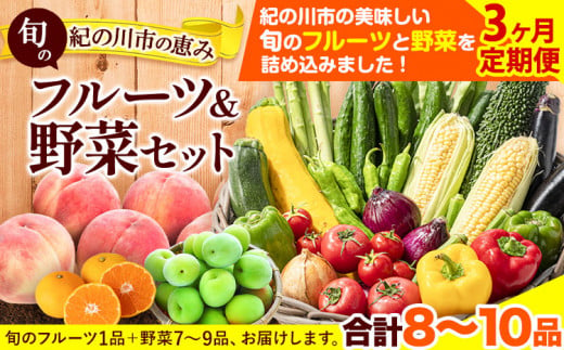 
【3ヶ月定期便】紀の川市の恵み 旬のフルーツ＆野菜セット 計8~10品《お申込み月翌月から出荷開始》和歌山県 紀の川市 フルーツ 果物 野菜 セット 桃 梅 みかん 新玉ねぎ なす トマト キャベツ
