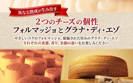 熟成チーズ2種食べ比べ ｜ ファットリアビオ北海道 フォルマッジョ グラナディエゾ セット 北海道 札幌市