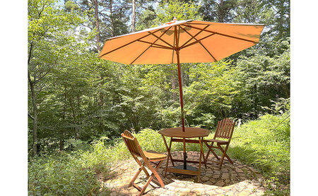 カウンセリング「ひみつの森の　ひみつのお話券」60分×1回分 相談 対面 長野県 長和町