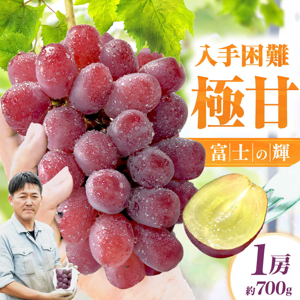 【ふるさと納税】【先行予約 8月下旬より発送】富士の輝 1房（約700g）ぶどう ブドウ 葡萄 シャインマスカット フルーツ 果物 広川町 / 井上農園[AFCK001]