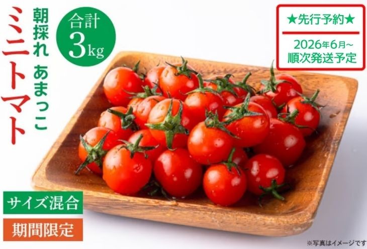 
                  【先行予約★2026年6月頃～順次発送！】 ミニトマト 朝採れ あまっこ ３kg やさい 野菜 トマト 甘い プチトマト 新鮮 フレッシュ 産地直送 とまと 新鮮野菜 夏野菜 ミニトマト サラダ 人気 おすすめ ビタミン ダイエット 美容 美肌 健康 食べやすい 10000円以下 ふるさと納税 茨城県 鹿嶋市
                
