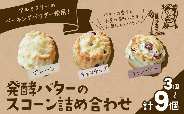 
            星子スコーン 行列ができる スコーン 詰め合わせ 3種 選べる内容量 3個 6個 9個 プレーン チョコチップ クランベリー 《30日以内に出荷予定(土日祝除く)》 星子スコーン 千葉県 流山市 おやつ お中元 お菓子
          