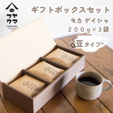 【自家焙煎珈琲】モカ　ゲイシャ　コーヒー豆200g×3袋【ギフトボックスセット】