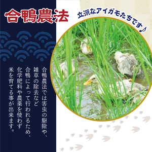 《令和５年度産》武田家のお米 銀河のしずく（玄米）10kg＜合鴨農法＞【米農家 仁左ェ門】 / 米 ５キロ ２袋 アイガモ