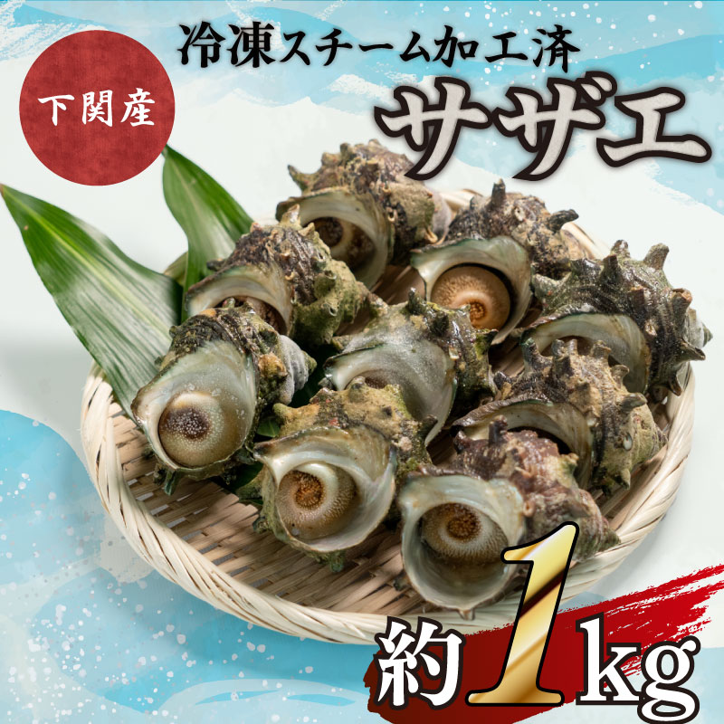 サザエ 約1kg 7〜12粒 特大サイズ 刺身 冷凍 スチーム加工 包装 レンジ で チンするだけ 下関 阿川 漁協 コラボ 産地直送 貝 秋 ごはんのお供 お酒 おつまみ